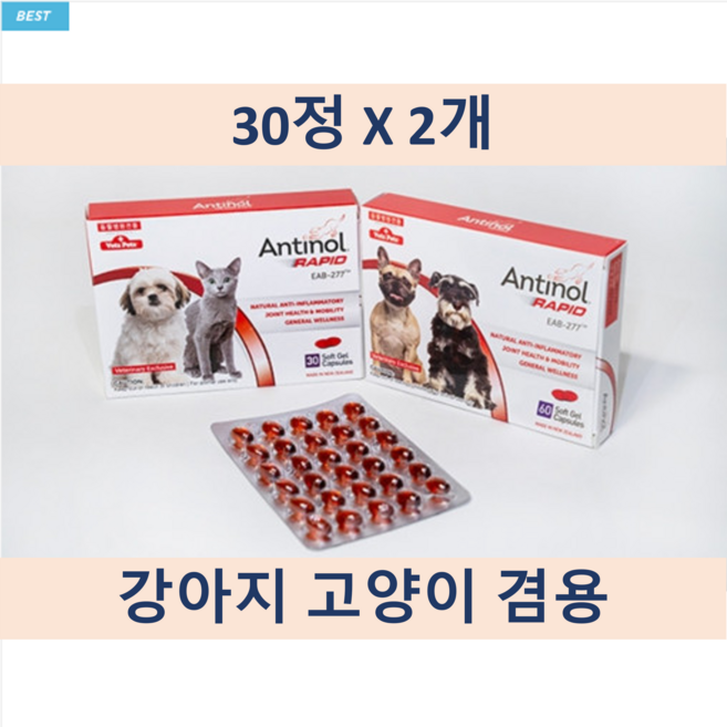 [안티놀] 60정 / 안티놀 래피드 60정 / 관절영양제 / 천연 성분 / 동물병원 전용 정품 / 강아지 고양이 겸용 + 동물병원 전용 습식 간식, 30정+30정, 2개