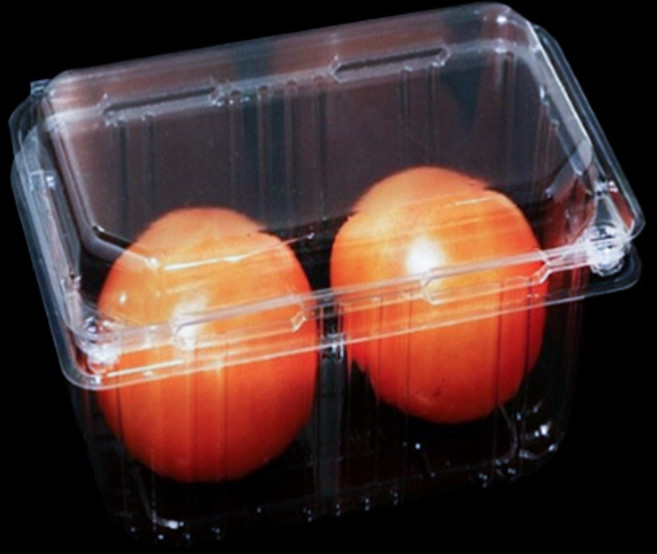 과일포장용기 큰개울자두300g(TB-103-3) 750개