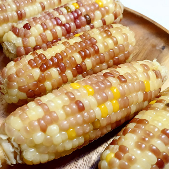 웰빙마트 찰진 홍찰 옥수수 무첨가 삶은옥수수, 1박스, 2.7kg(20개)