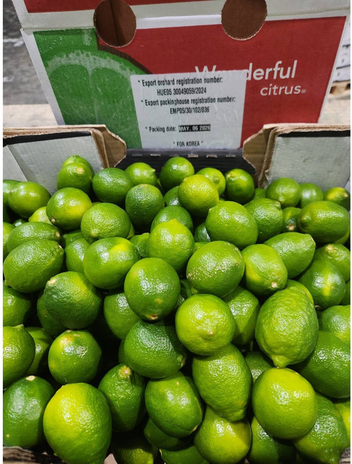 만나다 코스트코 멕시코 생라임, 1개, 1kg(12과내외)