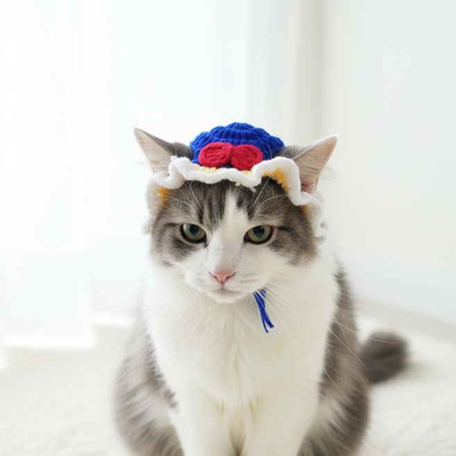 미유틱 고양이 강아지 모자 보닛, 1개, 3. 블루