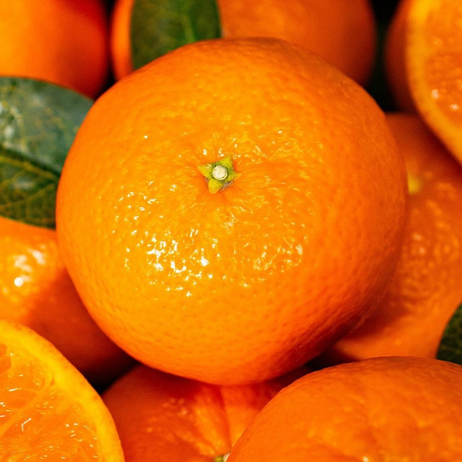 [제니네 제철과일] 산지직송 제주 만다린 랜덤과 새콤달콤 제철 감귤, 1개, 랜덤과 4.5kg