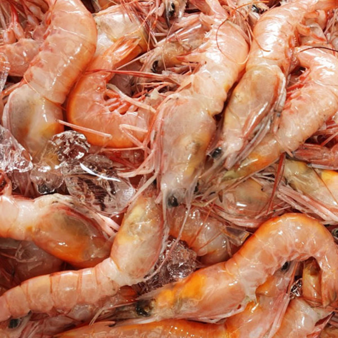 국내산 여수 달마새우 1kg 구이용 못난이새우 급냉, 1개