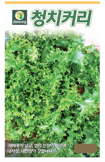 다농 청치커리 상추 씨앗 2000립, 1개
