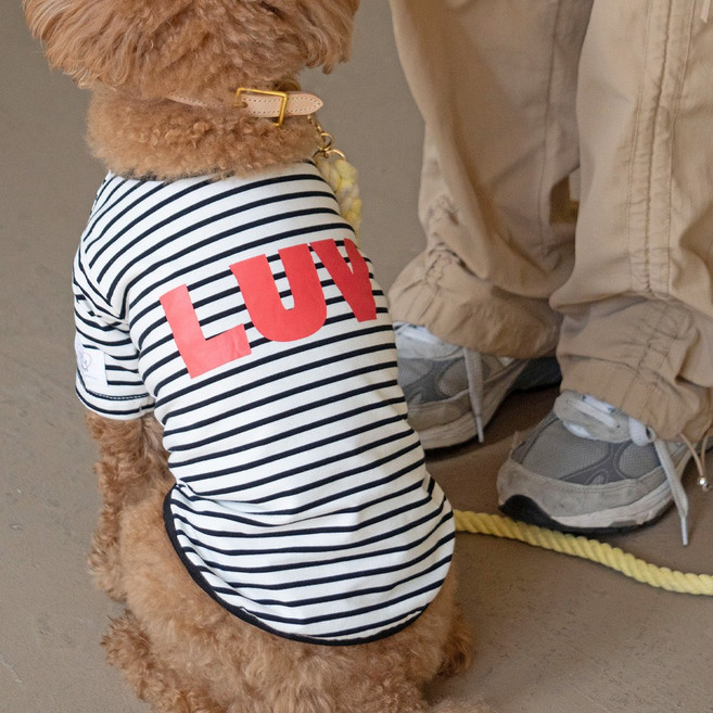 유앤펫 러브 스트라이프 티셔츠 견주 커플룩 중형견 대형견옷(강아지용), 1개, 블랙