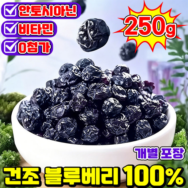 [판매1위!] 1/1+1 건조 블루베리 100% 무설탕 건 블루베리 프리미엄 블루베리 건조과일 말린 블루베리 무설탕 유기농 오성 블루베리 SUOSER 포장증정, 1개, 249g