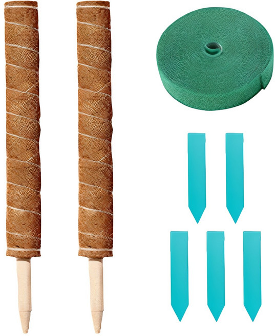 식물 수태봉 세트 50cm 화분 원예용 넝쿨 지지 수태 지주대 울타리 원예 화초 가드닝 용품 가든 화단 만들기, R99657A (2개입, 1세트