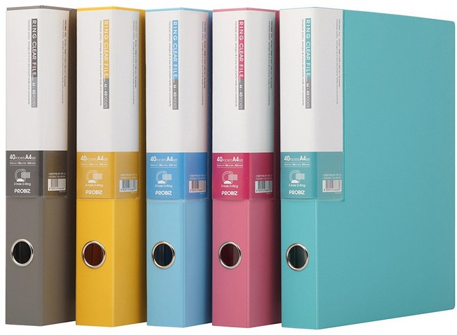 프로비즈 프로비즈 발포 D링 클리어파일 바인더 A4 40매, 회색