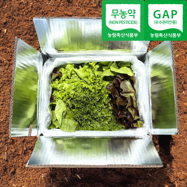 [정가네 건강농장] 무농약 친환경 유러피안 샐러드 상추 쌈채소, 1개, 1kg