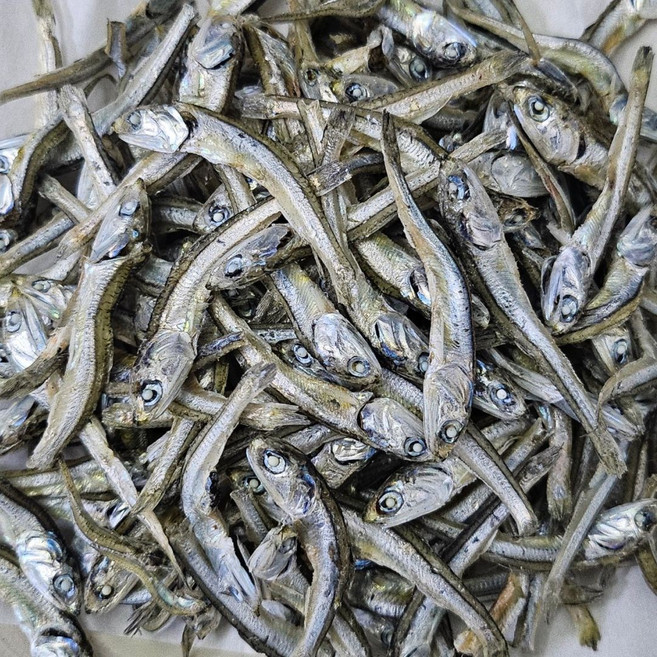 국내산 햇 주바멸치 1.5kg 고추장 찍어먹는 멸치 안주용 조림용, 1개