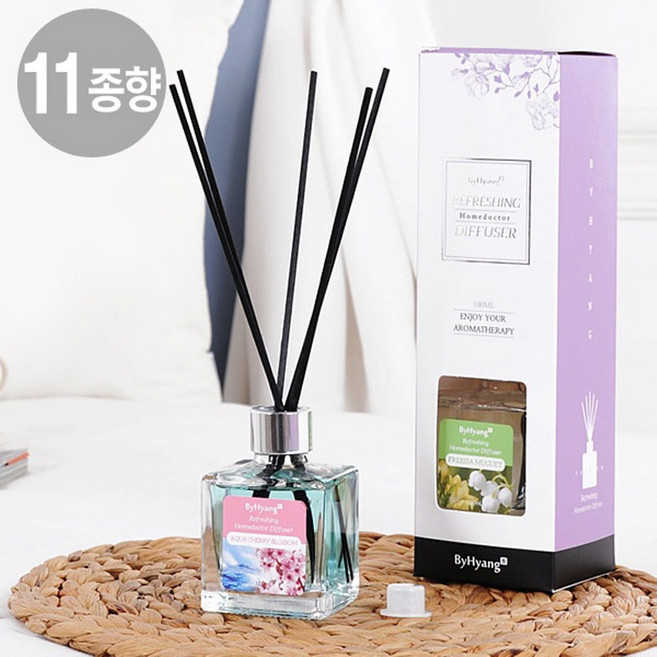 [바이향] 리프레싱 홈닥터 디퓨져 100ml / 11종향, 블루베리프룻, 1개