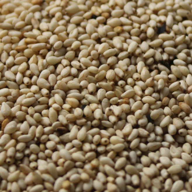 2025년산 국산 참깨볶음 쌀아지매, 1개, 1kg