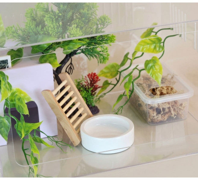 레오파드 펫테일 게코 아크릴 사육장 도마뱀 파충류 투명 빌드 403025 세트, 1개