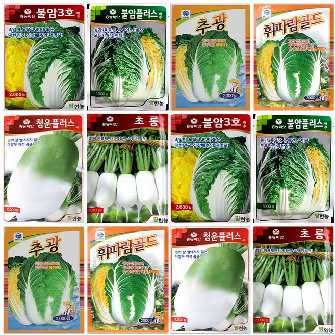 김장무씨앗모음 김장배추씨앗 불암3호 불암플러스 휘파람골드 추광 청운무 청운플러스 돌산갓, 서울배추 2000립, 1개