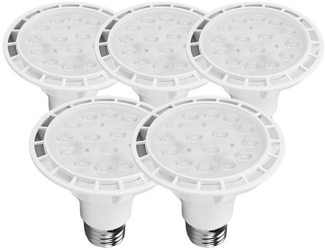 라인조명 LED에코 파30램프 15W PAR30 집중형 확산형, 5개, 4. 집중형 주광색(하얀빛)