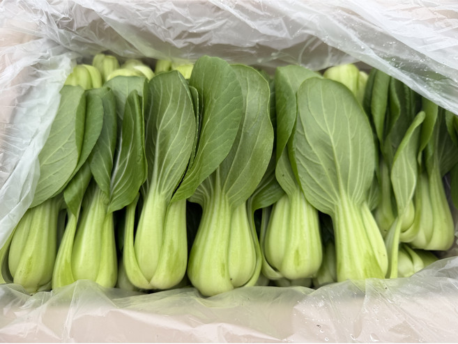 [푸드빌리지] 국내산 신선한 청경채, 4kg, 1개