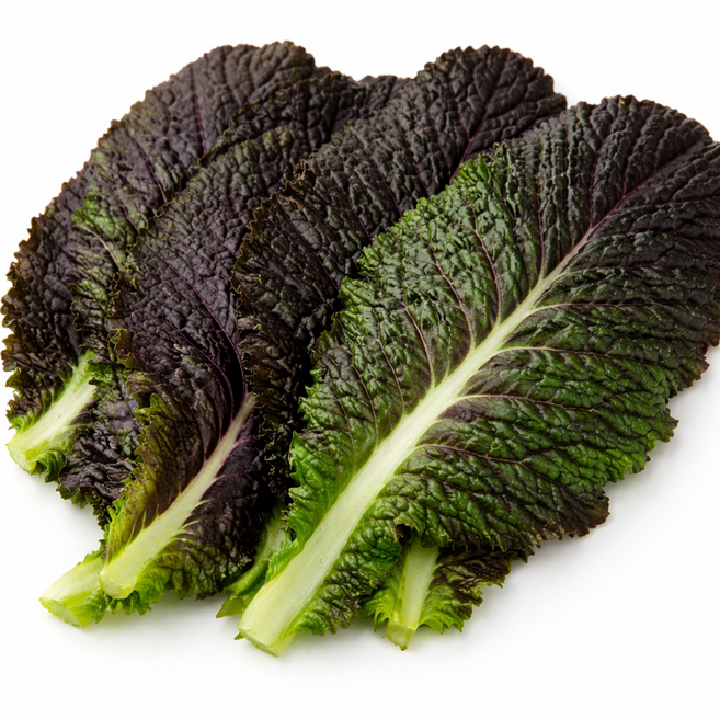 온파머스 국내산 적겨자 가락시장 당일경매, 1개, 300g