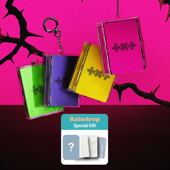 [공식특전마그넷+사은품] 투모로우바이투게더 앨범 7TH YEAR 가시덤불에 잠시 바람이 멈췄을 때 Photocard Case 미개봉 정품 특전포함 투바투, 랜덤 (4종 중 1종)