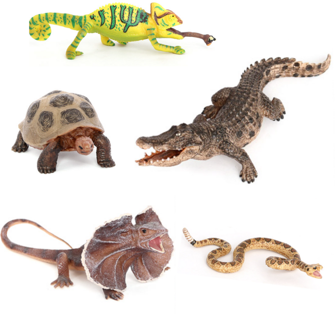 제트피규어 파충류 동물 피규어 5종 세트 목도리도마뱀 카멜레온 악어 뱀 거북이, 1개