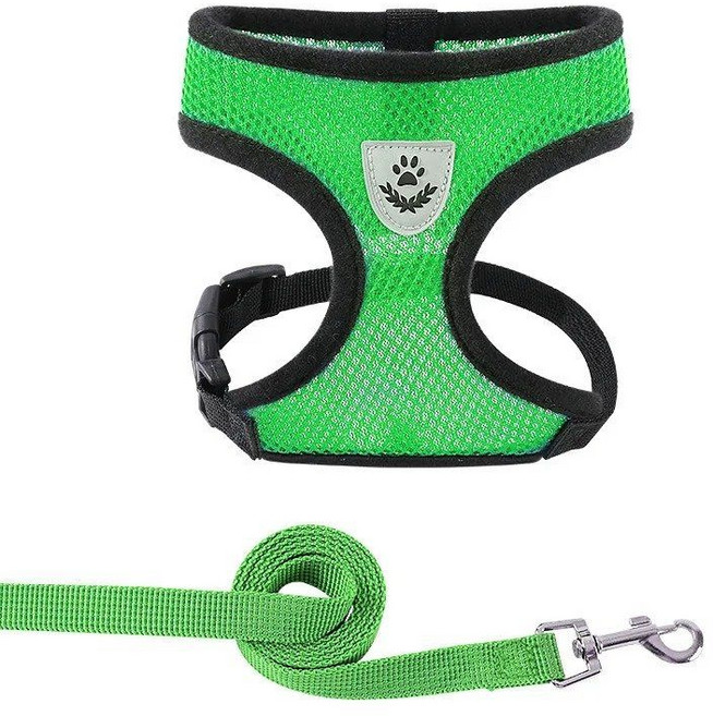 가슴줄 강아지 산책 애견 목줄 야외, green