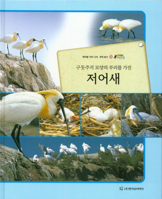 구둣주걱 모양의 부리를 가진저어새:테마별 자연 나라 생태 탐구, 한국슈타이너