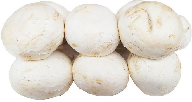 야채이야기 맛있는 국내산 양송이버섯 500g 양송이 스프용 구이용, 1개