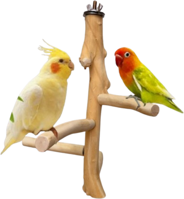 JHK 천연 포도나무 거꾸리 횟대 앵무새 장난감 횃대, 1개, 단색