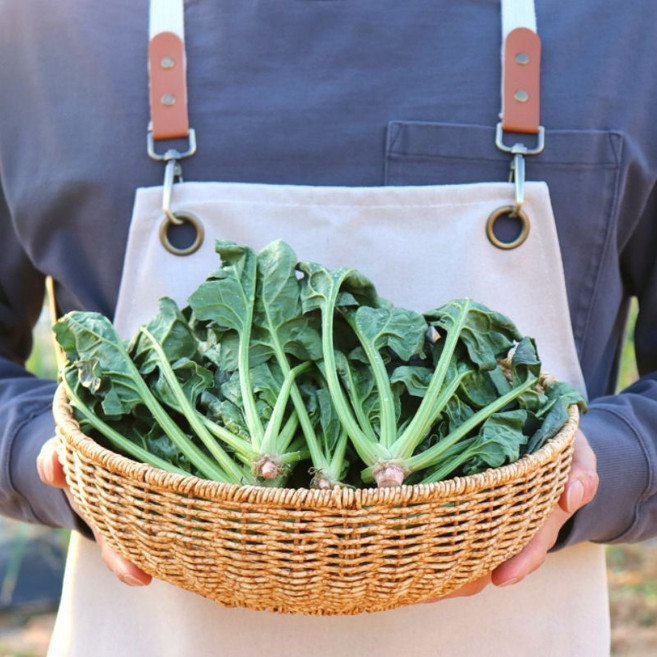 농산물마루 국내산 산지직송 시금치, 1박스, 2kg