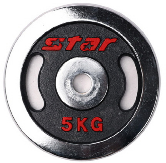 스타 도금원판 ER501/경량 역기봉 전용 원판, 2.5kg, 1개