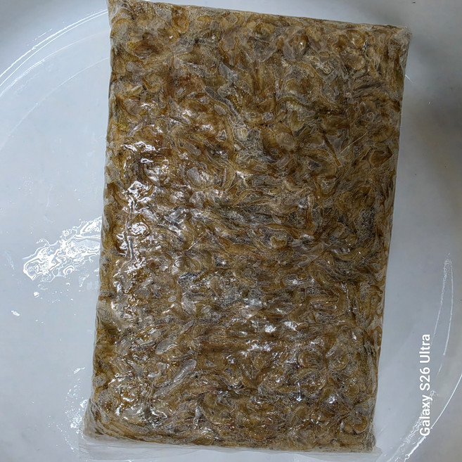 국내산 냉동 새우 매운탕용 작은새우 국물용, 1개, 1kg 냉동