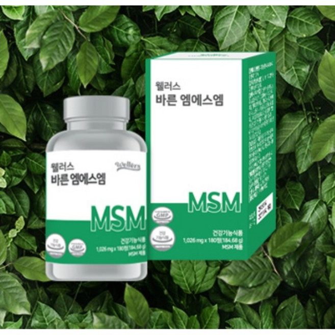 웰러스 바른 엠에스엠, 180정, 1개