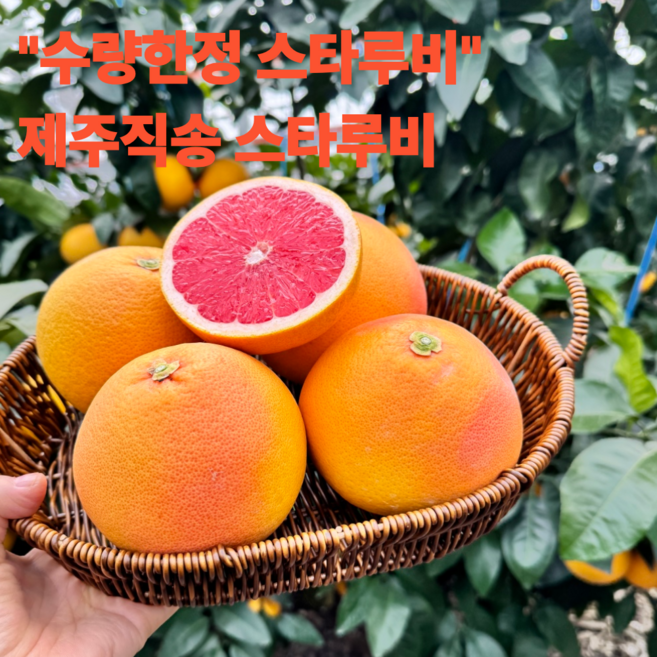 재구매1위 제주 자몽 스타루비 특품, 1박스, 3kg