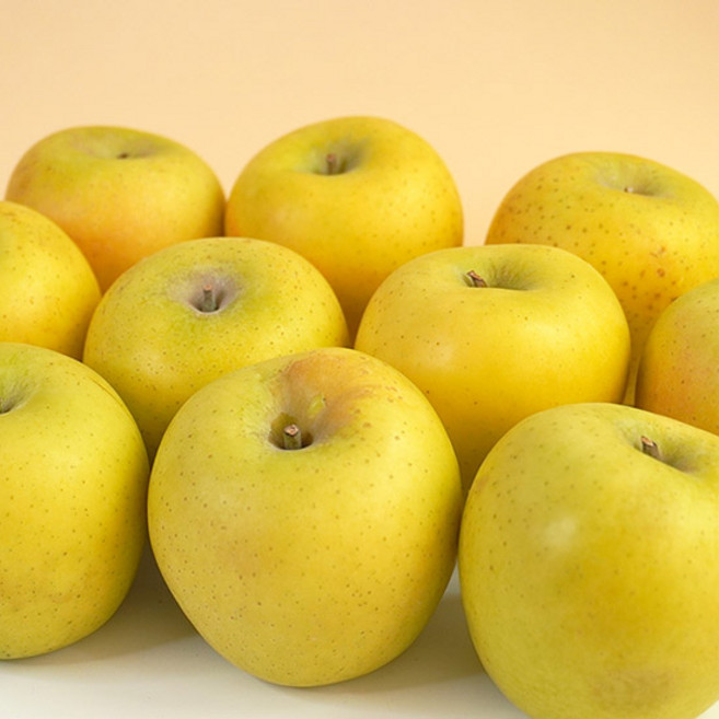 [미식한가] 새콤달콤 황금사과 시나노골드(가정용) 5kg / 과수선택, 가정용 5kg 29-33과, 1개