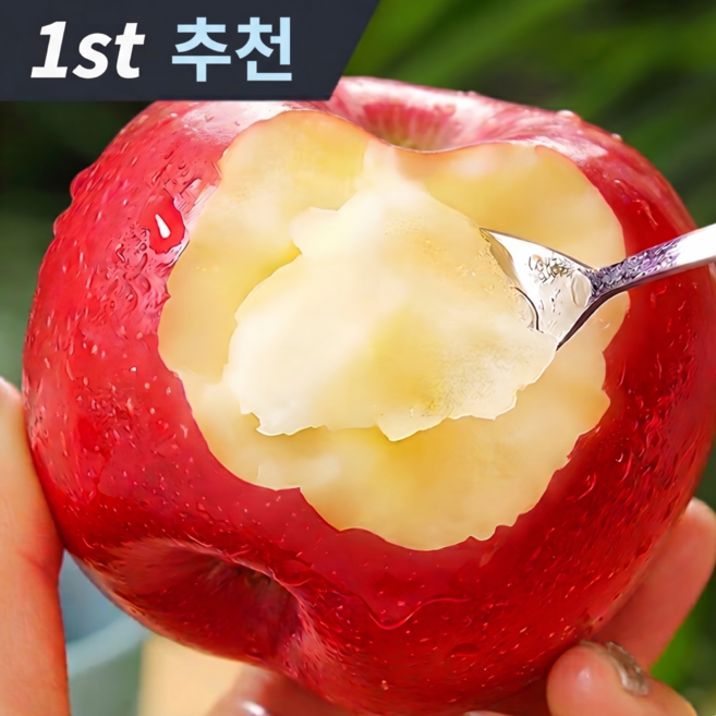 [최저가할인]50박스한정 국내산 아삭달콤 고당도 부사사과, 1박스, 3kg
