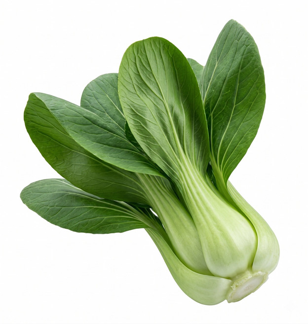국내산 청경채 4kg 내외 청경채특품4kg내외, 1개