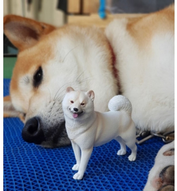 公仔模型擺飾 可愛造型 居家辦公室擺設 送禮推薦, 白柴