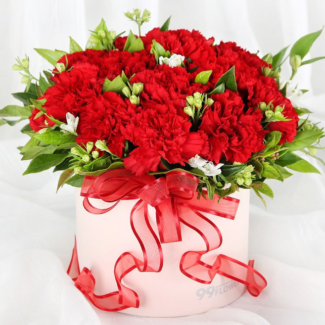 (오늘도착) 어버이날 카네이션 꽃상자 레드카네이션 생화 부모님선물 어버이날선물 카네이션꽃상자 효도선물 당일꽃배달 [ST-B489], 1개, 레드