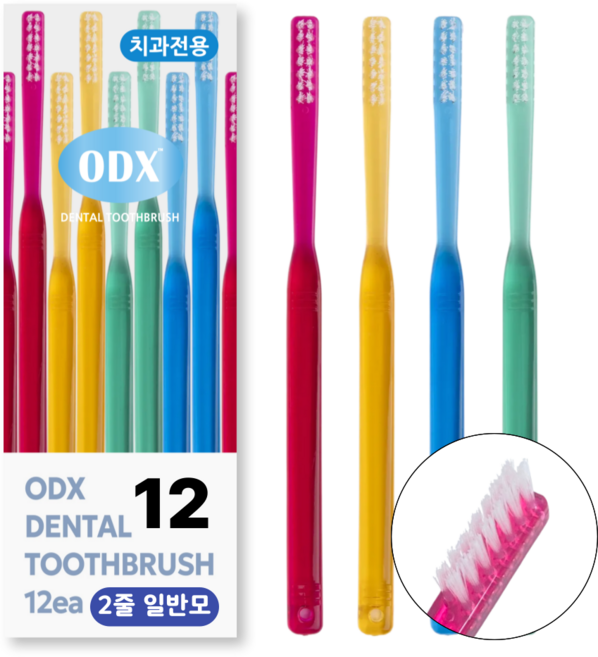 ODX 오디엑스 치과칫솔 0824 2줄 와타나베 일반모 칫솔, 1개, 12개입