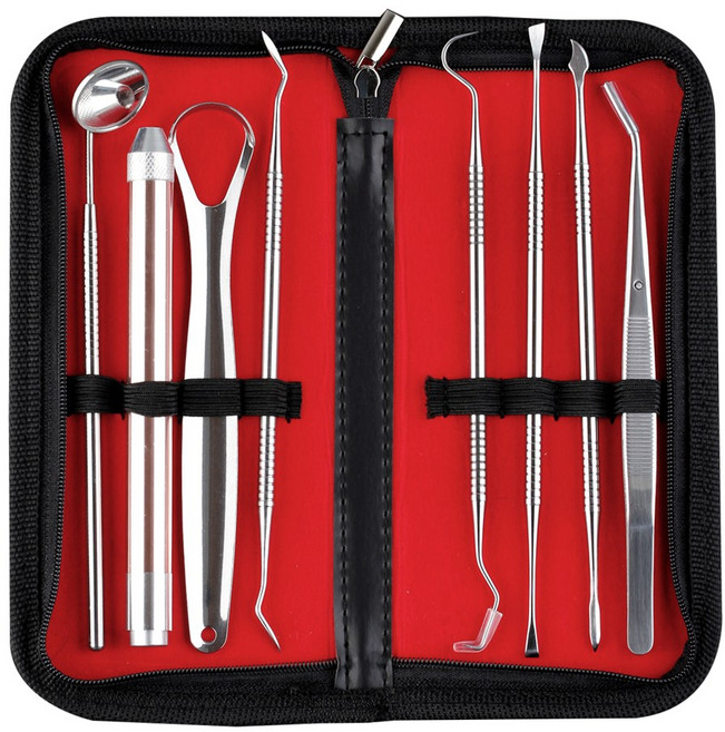 생활파트너 치과용 셀프 치석제거기 치경 치석제거 세트 8종세트, 1세트