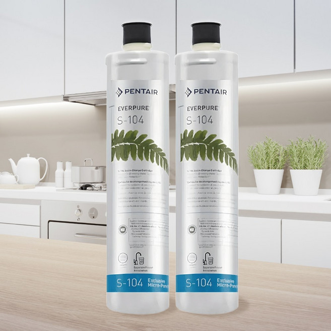 EVERPURE S104 濾心 原裝進口-黑水保固, 1個, 平行輸入, 雙入裝(售出無保固)