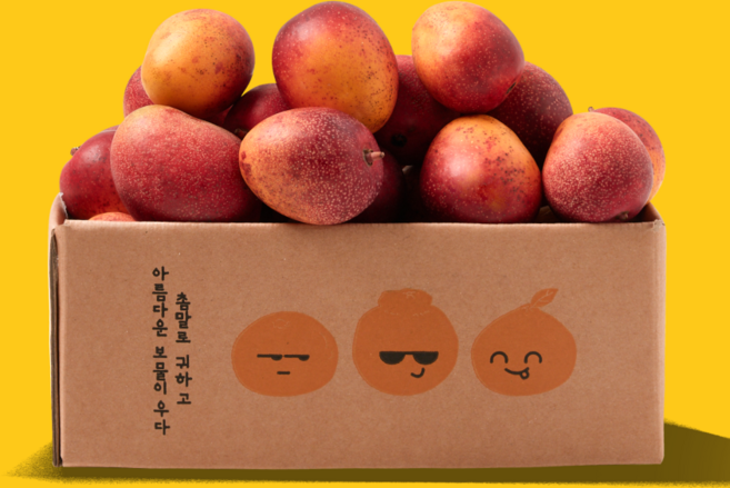 더모닝제주 미니애플망고 제주망고 꼬마애플망고 국내산 산지직송 1kg 2kg [원산지:국산(제주특별자치도 서귀포시) 등], 1박스, 1kg (꼬마8~16과)