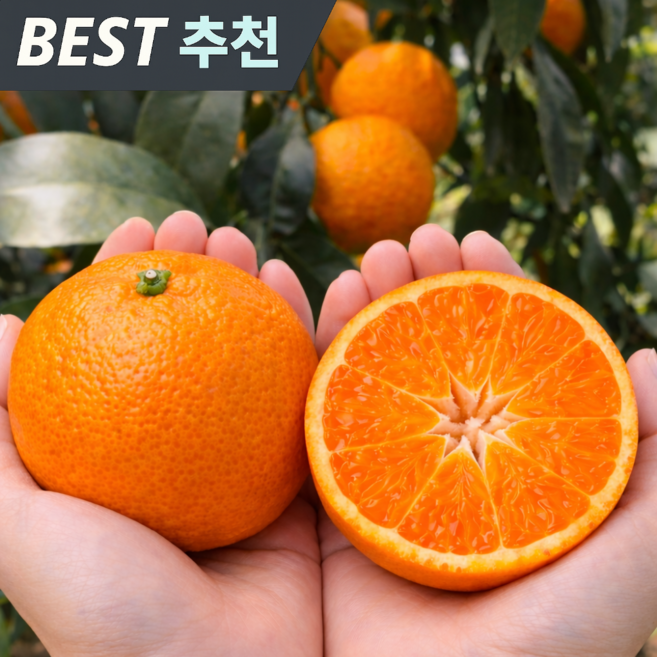 [딱100박스] 귀한물량 당일선별 과즙팡팡 카라향, 1박스, 2kg