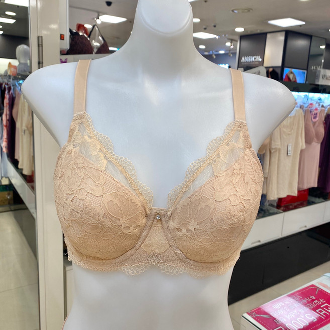 비너스 (산본점) *인기상품 재입고!* 앞 옆 뒷태까지 군살정리해주는 보정브라 기능성브라 빅사이즈도 있어요(ABC컵) 브래지어