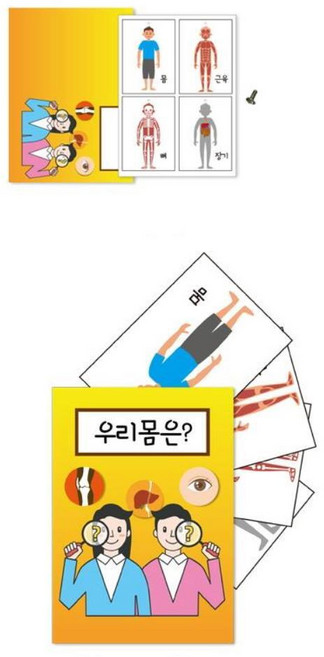 초등생 우리몸 신체공부 건강음식 할핀 미니북 만들기 5p 미술교구 체험