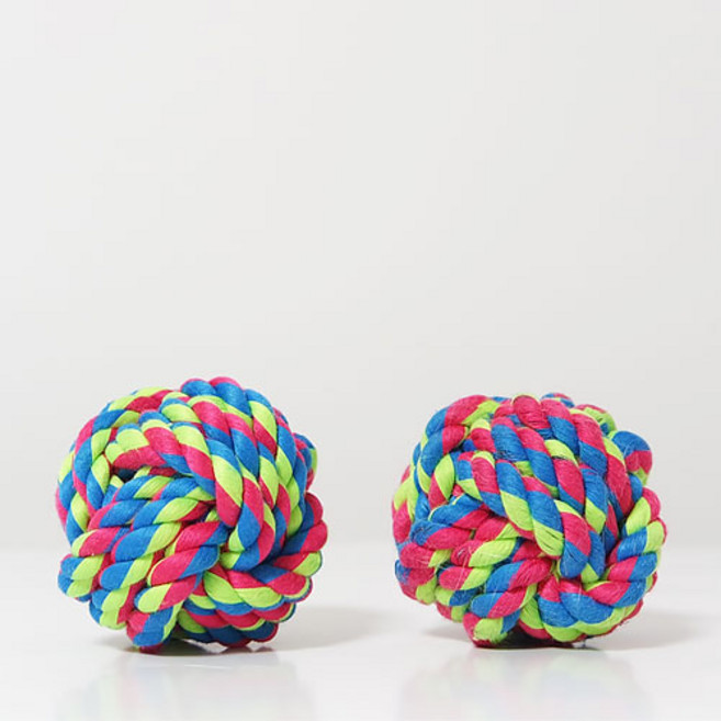 렛츠도기 강아지 치실공(소) 2개 강아지장난감