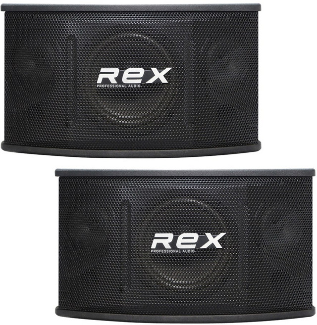 노래방 스피커 REX 시리즈 3종(6/8/10인치) 매장 카페 업소 가정용 1조(2개) YCSM, 6인치 (RX-60)