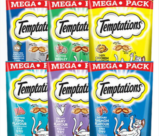 템테이션 고양이 간식, 담백한 연어맛, 160g, 1개