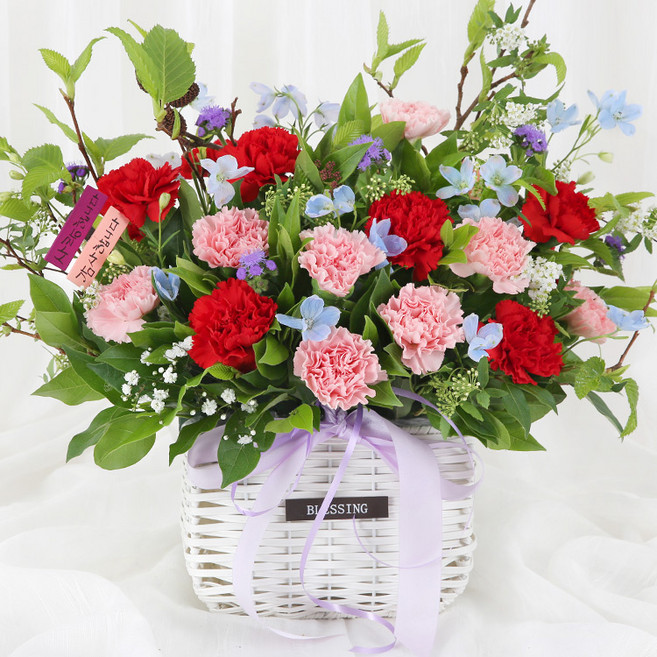 (오늘도착) 어버이날 카네이션 꽃바구니 생화 부모님선물 어버이날선물 카네이션꽃바구니 효도선물 부모님꽃선물 당일꽃배달 [ST-A2077], 1개, A2077