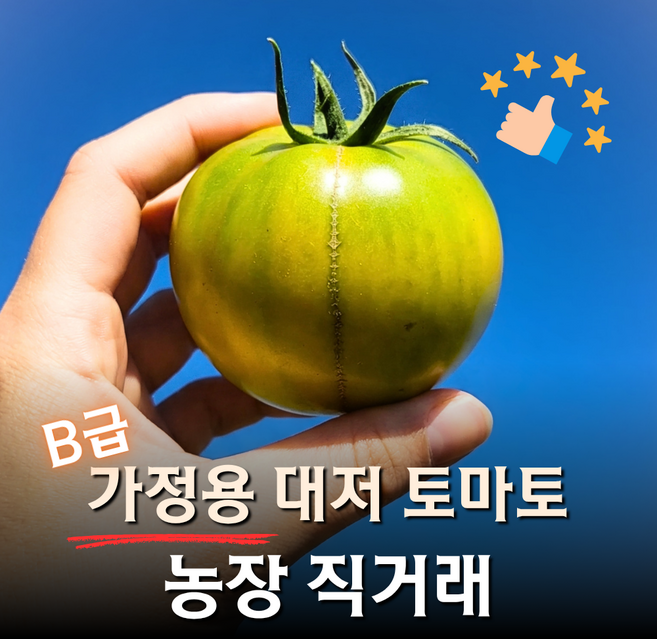 [가성비갑] 가정용 B급 못난이 대저토마토, 1박스, 2.5kg (L/대과/못난이)
