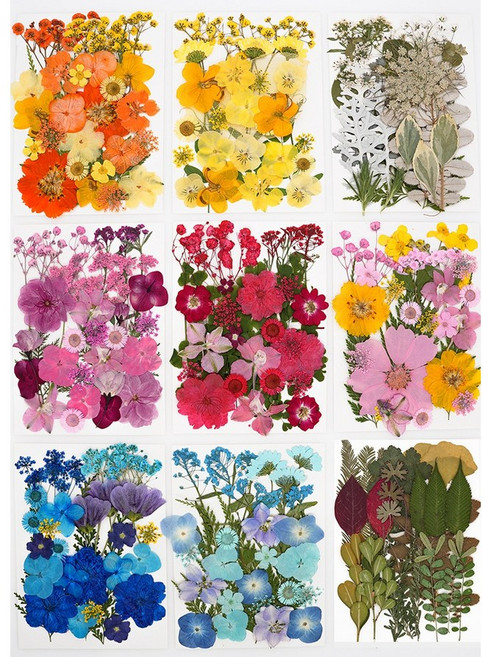 압화 드라이플라워 E형 세트 드라이 플라워 꽃 장식 보존화 재료 미니 소품 만들기, 옵션명 01~09까지 전부 1세트씩/모든세트포함